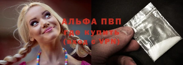 сатива Белоозёрский