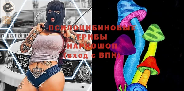 apvp Белокуриха