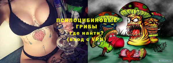 стаф Беломорск