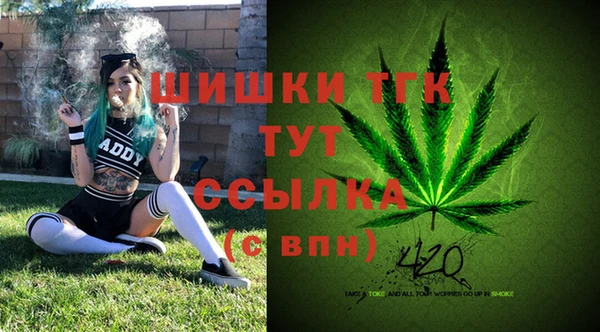 сатива Белоозёрский