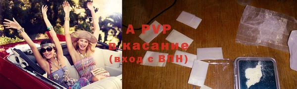 стаф Беломорск