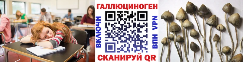 Галлюциногенные грибы ЛСД  закладка  нарко площадка как зайти  Волжский 
