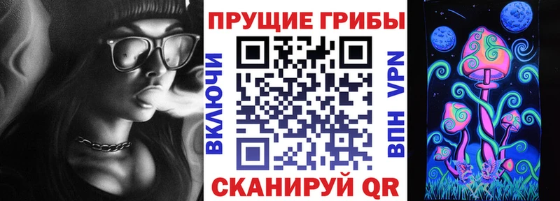 Псилоцибиновые грибы Cubensis Волжский